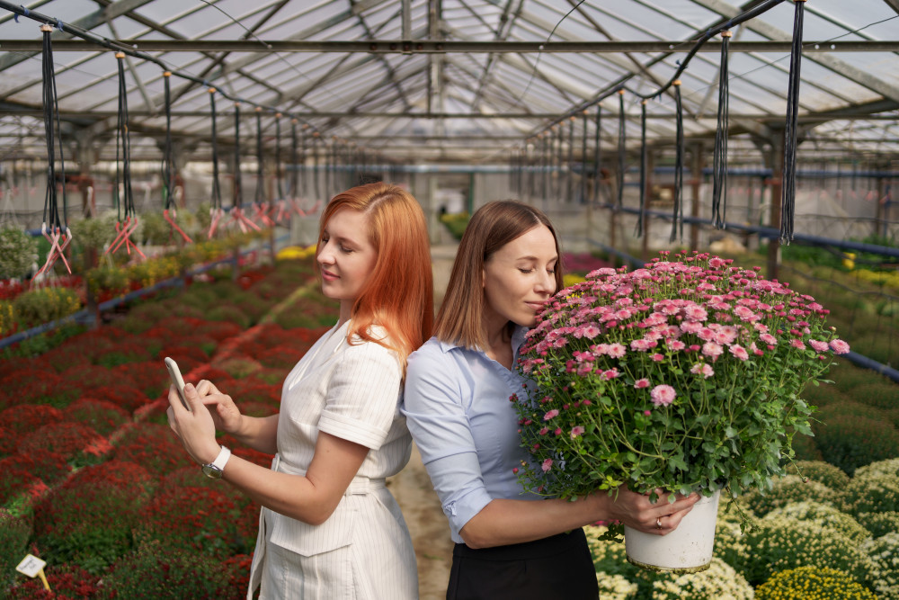 Les aides à la création d'entreprise pour les femmes : un tremplin pour l'égalité professionnelle
